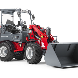 Weidemann 1880