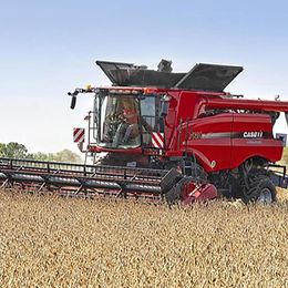Case IH Flex-Schneidwerk